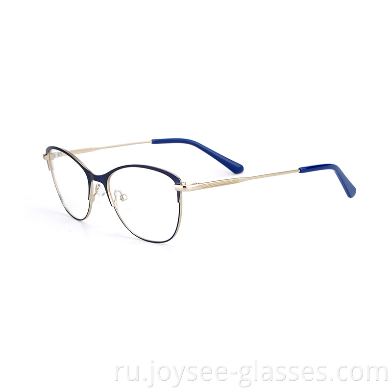 Two Tones Metal Eyeglasses 6